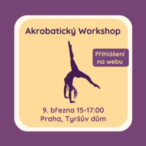 AkrobatickyWS