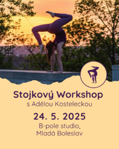 Stojkovy_workshop_MB (1)